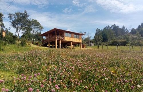 Paipa House | Cabaña Colibri