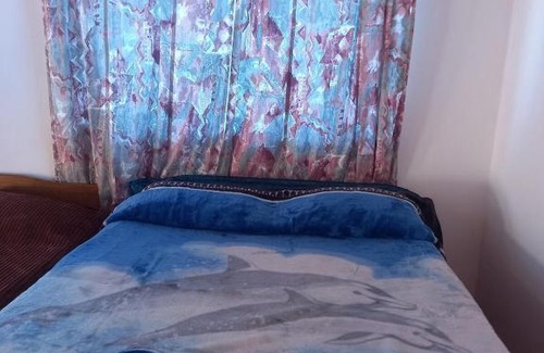 Dina Huapi Ski Chalet | Cabaña del Lago 2