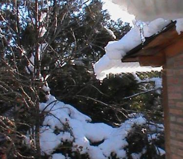 Villa Los Coihues House | Cabaña Entre Lagos y Montañas