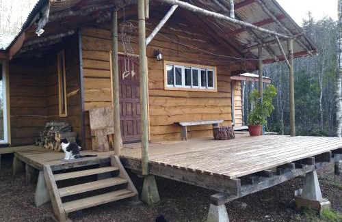 Villarrica Ski Chalet | Cabaña entre Arboles