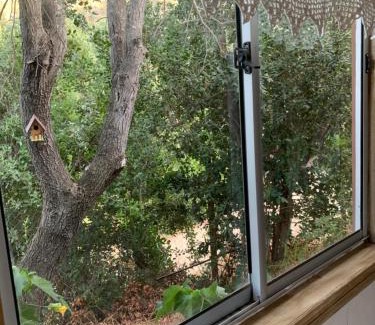 Valparaiso House | Cabaña entre parras