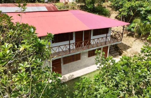 Puerto Inca Hotel | Cabaña la Jungla
