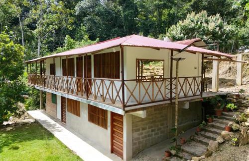 Puerto Inca Hotel | Cabaña la Jungla