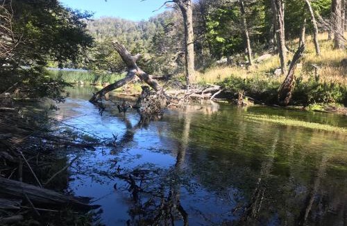 Coyhaique Ski Chalet | Cabaña Lago Largo