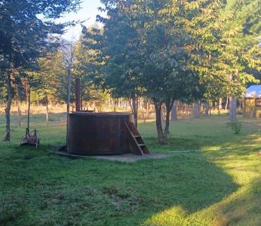 Panguipulli House | Cabaña Linoico Paulina Coñaripe