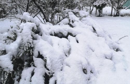 Melipeuco Apartment | Cabaña May Pao, para 3 en Melipeuco cerca del Parque Nacional Conguillio