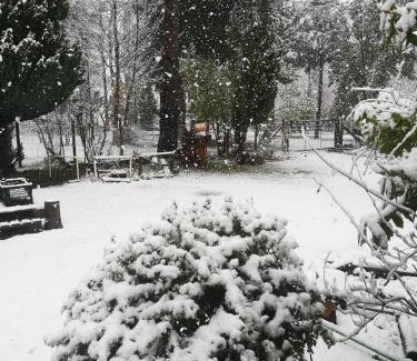 Melipeuco Apartment | Cabaña May Pao, para 3 en Melipeuco cerca del Parque Nacional Conguillio