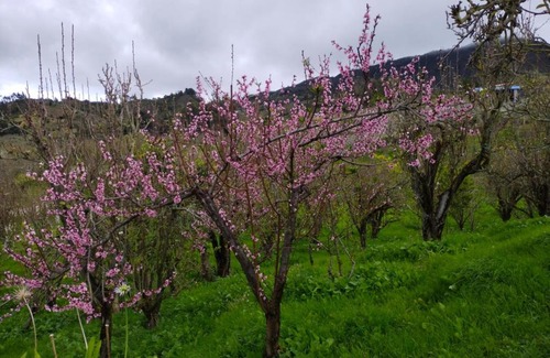 Jenesano House | Cabaña Mirador Angelita