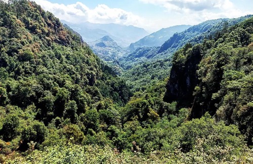 Acaxochitlan Other | Cabaña para pareja en el bosque IA