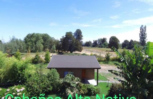 Chillan House | Cabañas Alto Nativo