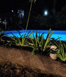 Santa Teresita House | Cabañas del Bosque
