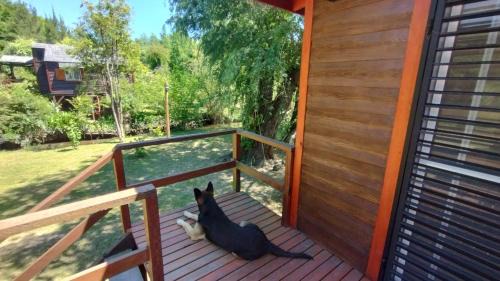 Partido de Tigre Apartment | Cabañas Delta Tigre