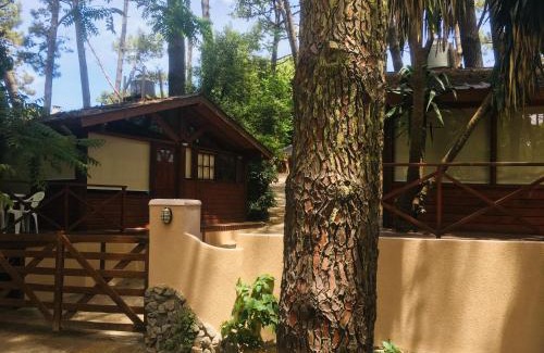 Villa Gesell Apartment | Cabañas Entre Pinos