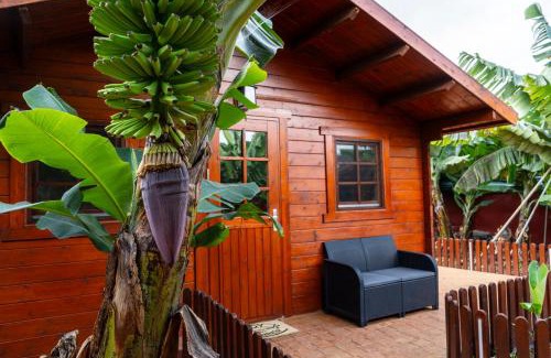 Arucas Ski Chalet | Cabañas Finca Las Vegas