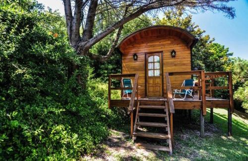 Villa Gesell Ski Chalet | Cabañas Gusfraba