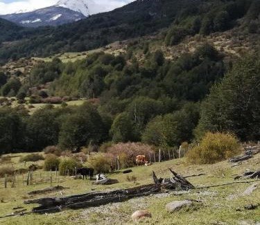 Bahia Murta House | Cabañas Kela