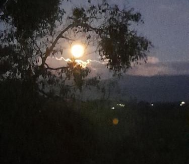 Filandia House | Cabañas la Miranda