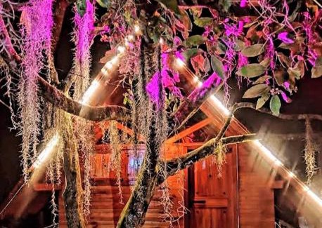 Filandia House | Cabañas la Miranda