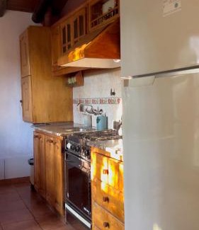 Bajo Lunlunta Ski Chalet | Cabañas Las Rosas