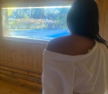 Chilecito Ski Chalet | Cabañas las viñas full