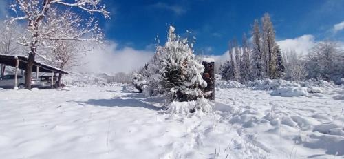 Salto Cabin | Cabañas Nubes del Plata
