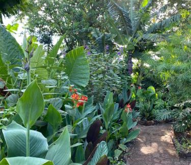 Zona Granja House | Cabañas Paraíso Iguazú