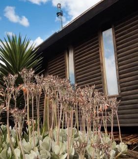 Pichilemu Apartment | Cabañas Punta de Lobos