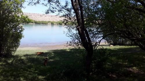 Comandante Luis Piedrabuena Ski Chalet | cabañas rio santa cruz