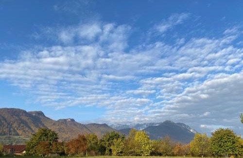 Bran House | Cabana 33