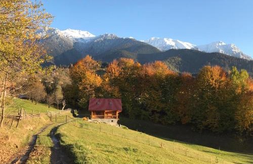 Bran House | Cabana Adierea Vantului Bran