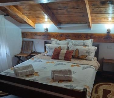 Harseni House | Cabana Barbu