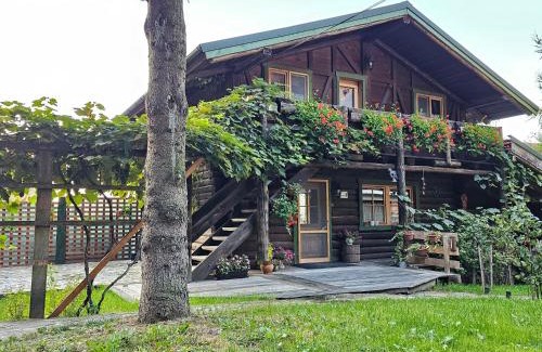 Rasnov Cabin | Cabana Bendis