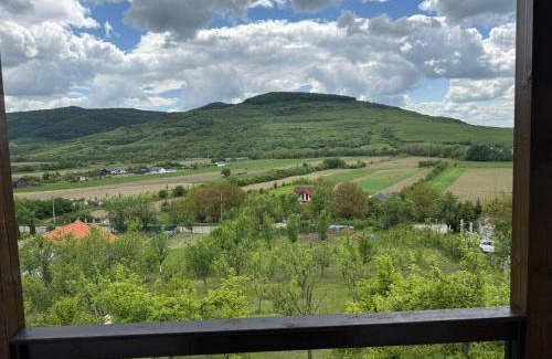 Mintiu Gherlii Ski Chalet | Cabana cu Livada