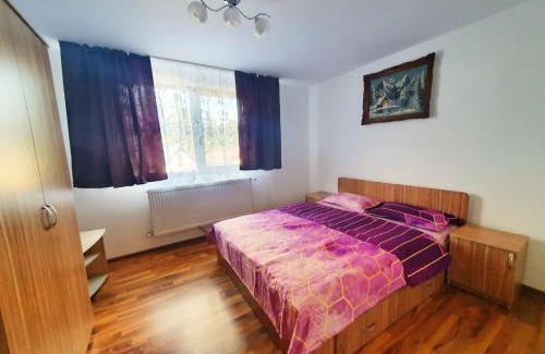 Rausor House | Cabana Denisa