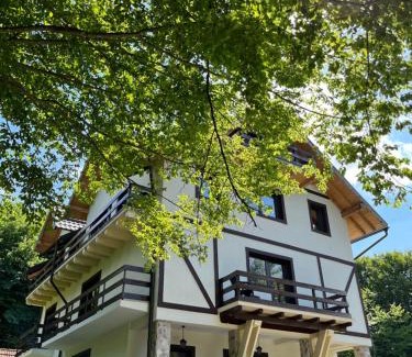 Porumbacu de Jos House | Cabana din Pădure