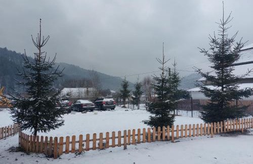 Lunca Bradului Ski Chalet | Cabana Mareea -Lunca Bradului