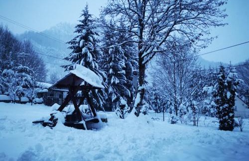 Pietroasa House | Cabana Valea Rea, Boga