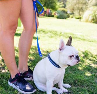 Tandil Apartment | Cabanas Loma Bonita