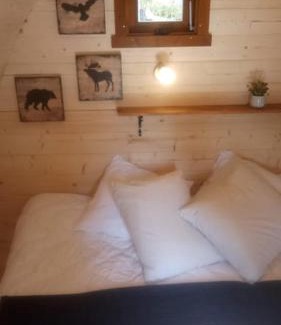 Champfromier Other | Cabane en bois POD 2