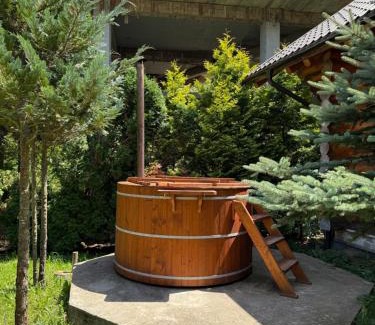 Poiana Brasov Cabin | Cabane- Vila Crinul si Teodor Poiana Brasov