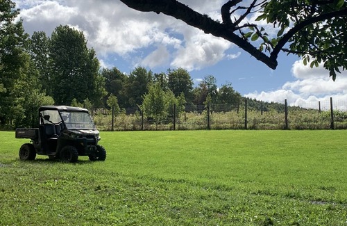 Balmoral Mills Cabin | Cabin 1 - Luxury Glamping , unique Tiny, Cozy, Romantic- w/hot tub on Property