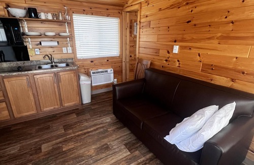 Dickerson Run Cabin | Cabin 6 - Beautiful location with a great view of the river. Perfect for any size family!