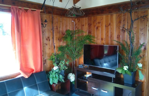 Valdivia Cabin | Cabin beach front line