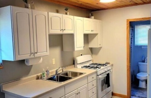 Friendship Cabin | Cabin by Castle Rock. 25min to Dells. Private Yard