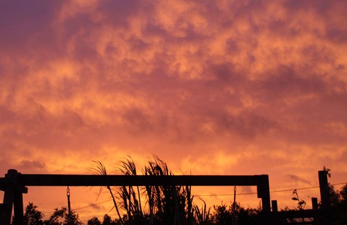 La Oliva Cabin | Cabin