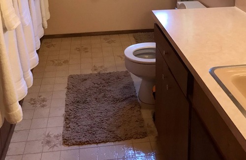 Tahoma Cabin | Cabin includes HOA Walk/shuttle to private beach, bar, restaurant, pool & tennis