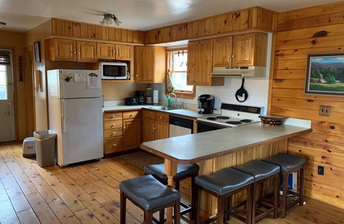 Susquehanna Cabin | Cabin on 4 acres near Elk Mountain/Dogs OK/Easy Drive from Philly and NYC