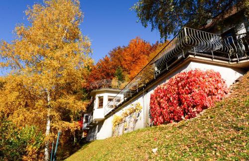 Bad Peterstal-Griesbach Apartment | Café Pension Waldfrieden