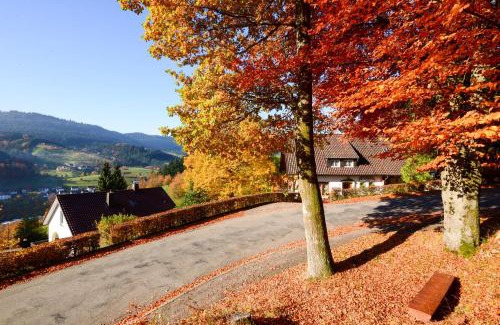 Bad Peterstal-Griesbach Apartment | Café Pension Waldfrieden