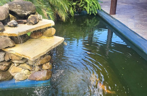 Matinhos House | Caiobá Nature Corner - Large, Fish Pond and Pool | Zap 41 992909634